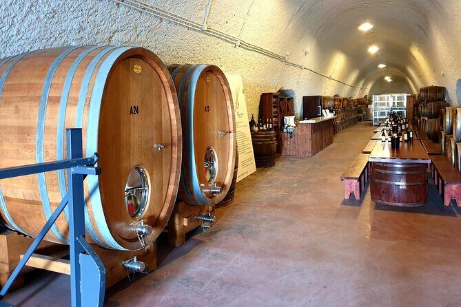 Santorini Private Wine Tasting Experience with private sommelier - Is This Tour Worth the Price?