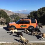 Sarakina Gorge, Kritza, Oliveoil Tasting, Mountains, South Coast - The Itinerary: What You’ll Experience