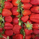 Savor Athens Walk: A Culinary & Travel Writers Insider Food Tour - The Itinerary in Detail