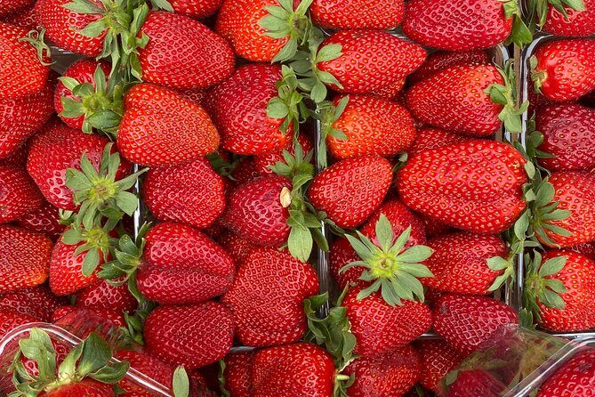 Savor Athens Walk: A Culinary & Travel Writers Insider Food Tour - The Itinerary in Detail