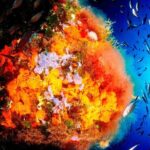 Scuba Diving Baptism and Snorkeling in Ibiza - The Experience: What Travelers Say