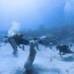 Scuba Diving Experience + Free Edited Video - The added bonus: the free video