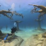 Scuba Diving Experience & MUSAN Dive + Free Edited Video 2xdives - Who Should Consider This Tour?