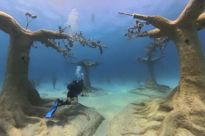 Scuba Diving Experience & MUSAN Dive + Free Edited Video 2xdives - Who Should Consider This Tour?