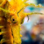 Scuba diving in Calabria, Italy - A Closer Look at the Logistics