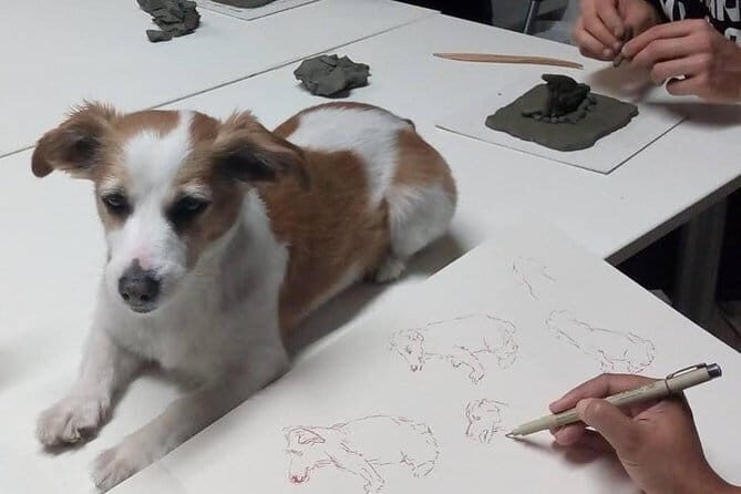 Sculpt to Florentine Pet - What to Expect During the Workshop