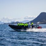 Sea Eagle Safari from Svolvær to Trollfjorden - Final Thoughts