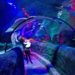 SEA LIFE Loch Lomond General Admission Ticket - FAQ