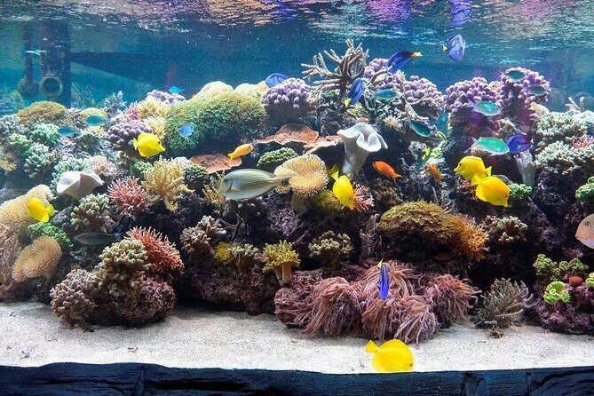 SEA LIFE Speyer Admission Ticket - Is It Worth Your Money?