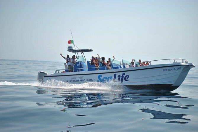 Sealife Sea Safari, Dolphin Watching with Marine Biologist's Lagos - What Could Be Better?