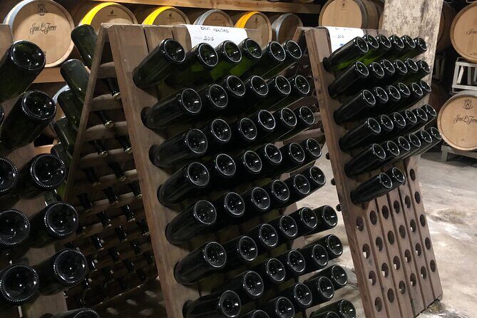 Secret Corners and Tastes of Mallorca by Private SUV Tour - The Benefits of a Private Tour