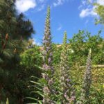 Secret Gardens of London Private Tour - The Cost and Its Value