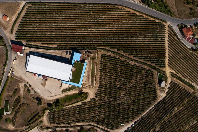 Selection Tasting | Quinta de Santa Cristina Vinho Verde - Potential Drawbacks and Considerations