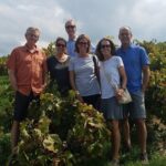Semi-Private Wine Discovery Tour in Chania - The Practical Side: Transport, Price, and Group Size