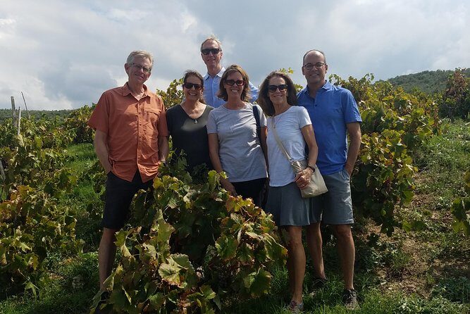 Semi-Private Wine Discovery Tour in Chania - The Practical Side: Transport, Price, and Group Size