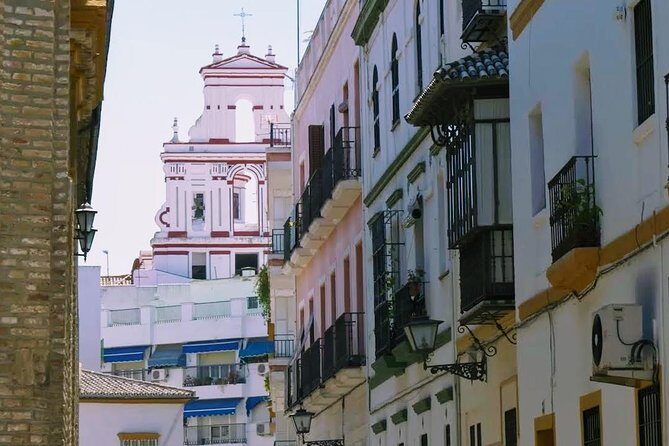 Sevilla Food Tour: Tapas, Wine, History & Traditions - Who Will Really Enjoy This Tour?