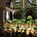 Seville Half-Day Walking Tour - Practicalities and What You Get