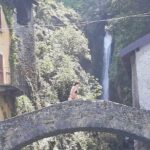 Shared Subacco Lake Como Boat Tour for 3 Hours - The Reviews: What Travelers Say