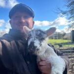 Sheepdogs in the countryside, authentic Dubliners city tour combo - What Makes This Tour Special?