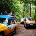 Shore Excursion - East Madeira Peaks & Santana - Who Will Enjoy This Tour?