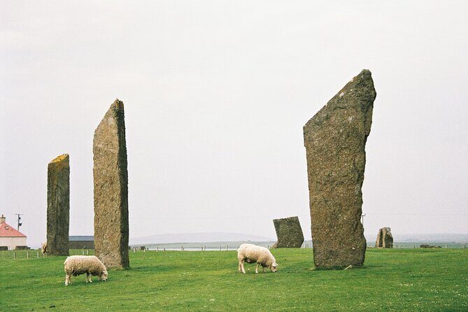 Shore Excursion Kirkwall Small Group Highlights of Orkney - What Makes This Tour Stand Out?
