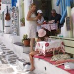 Shore Excursion Private - FAQs