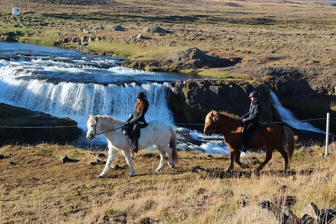 Short Riding Tour with Eye-Catching Photos at Waterfall - What to Expect from the Reykjafoss Waterfall Horseback Tour