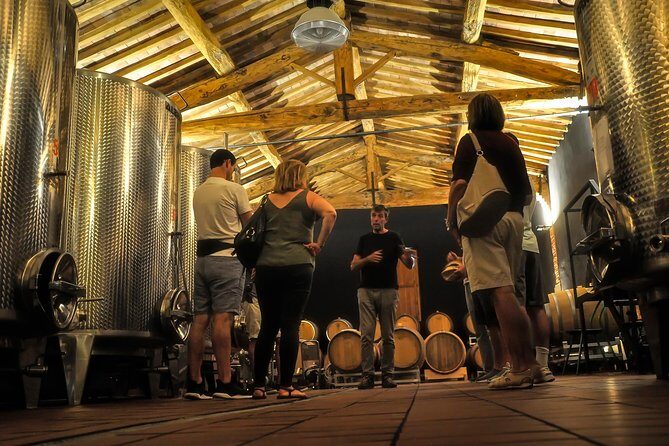 Siena: A Wine Tour and Tasting Experience - Who Is This Tour Best Suited For?