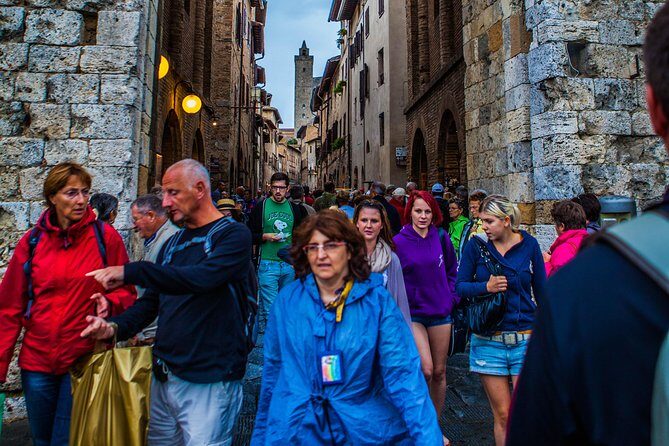 Siena and San Gimignano Day Tour from Rome - The Drivers and the Flexibility