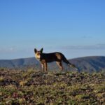 Sierra Nevada Tour (Granada) - FAQs