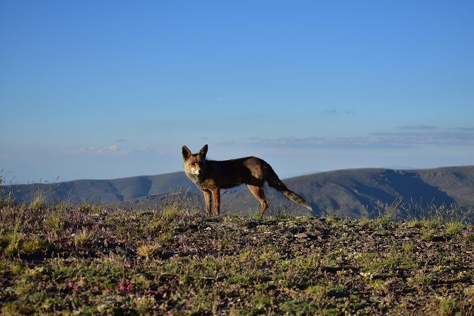 Sierra Nevada Tour (Granada) - FAQs