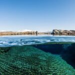 Silfra: Snorkeling Between Tectonic Plates Pick Up from Reykjavik - The Logistics: What to Know Before You Book
