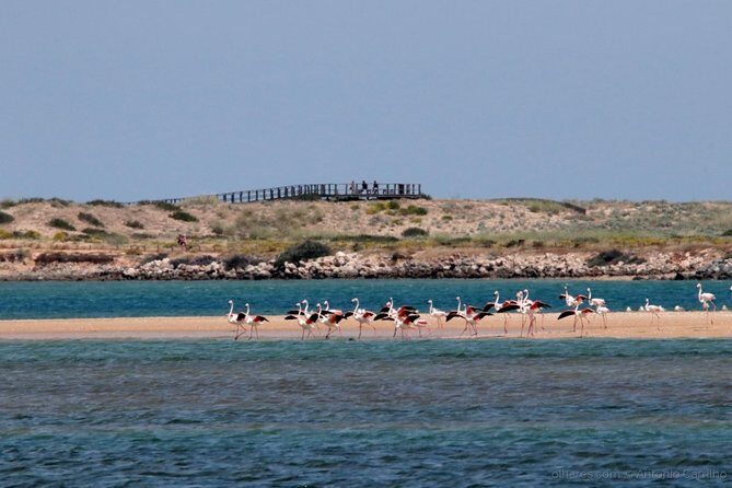 Silves: The Medieval Charm of the Algarve - Exploring Silves Castle