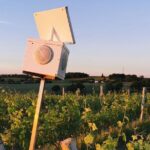 Simple Visit to Discover the Domaine d'Arton - Final Thoughts: Is This Tour for You?