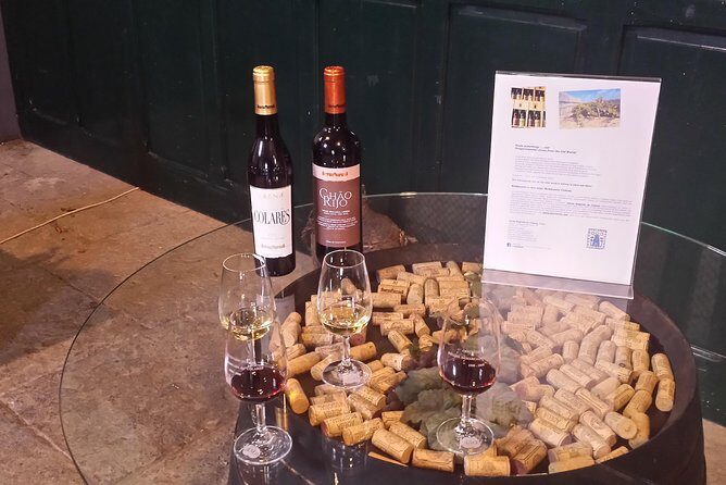 Sintra Full Day Private Wine Experience with Tastings from Lisbon - What You Can Expect from the Tour