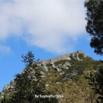 Sintra todo dia Ou Sintra & Cascais - Pena Palace and Gardens