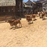 Sioux City Park Entrance Ticket - Practical Details