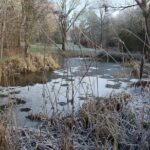 Skip-the-Line: Botanic Garden Entry Ticket - Final Thoughts