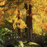 Skip the Line: House and Garden Admission Ticket - The Experience: Pros and Cons