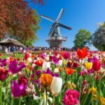 Skip-the-Line Keukenhof Gardens and Tulip Fields Tour from Amsterdam - Who Would Love This Tour?