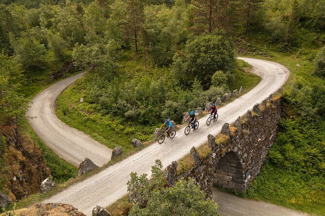 Sky to Fjord Geiranger Downhill Biking Adventure - What to Expect During the Ride