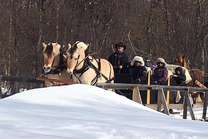 Sleigh Ride w/ snacks - Experience Arctic Farm Life - Who Is This Tour Best For?