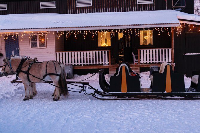 Sleigh Ride w/ Tapas Meal - Experience Arctic Farm Life - Price and Value Analysis