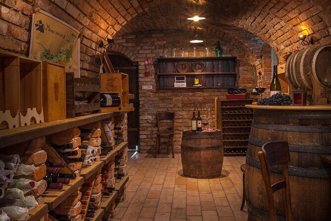 Slovenian wine tasting at Hotel Triglav Bled's wine cellar - Who Is This Experience Best For?