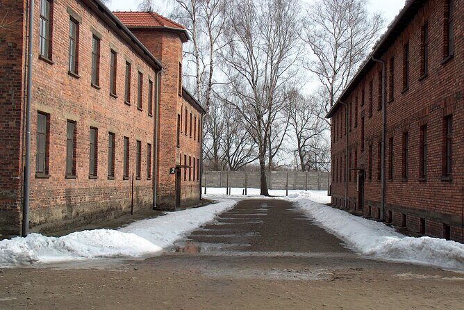 Small Group Auschwitz-Birkenau Guided Tour from Krakow ABTA - Who Should Take This Tour?