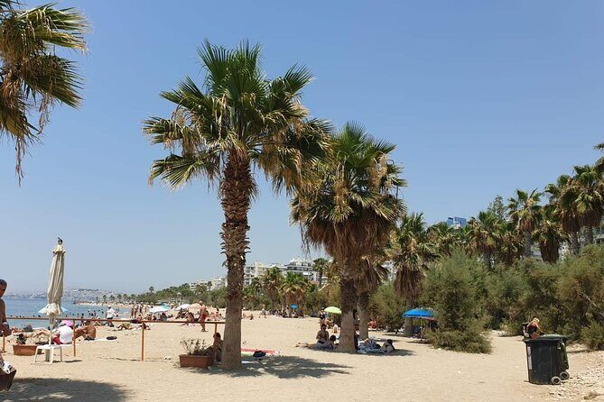 Small-Group Bike Tour of Athens and Riviera - What to Expect During Your Day