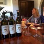 Small-Group Brunello Wine Tour of Montalcino from Florence - Why This Tour Stands Out
