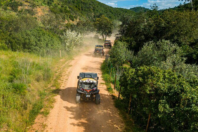 Small-Group Buggy Riding Safari in Algarve - The Experience in Detail