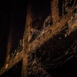 Small group Burgundy tour of Beaune with Wine Tasting from Dijon - The Real Experience: What Travelers Say