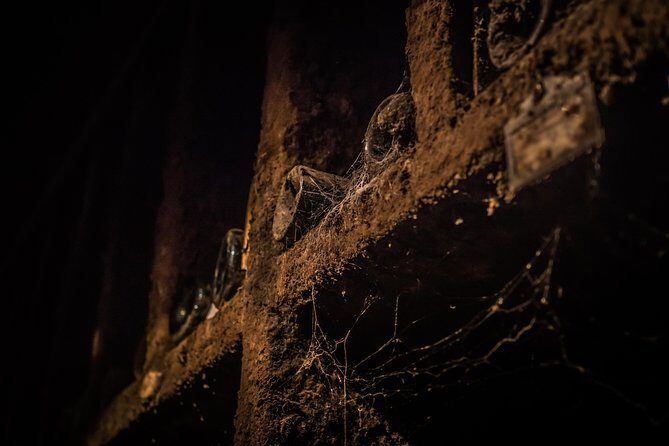 Small group Burgundy tour of Beaune with Wine Tasting from Dijon - The Real Experience: What Travelers Say